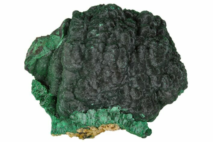 Silky Fibrous Malachite Cluster - Congo #110489